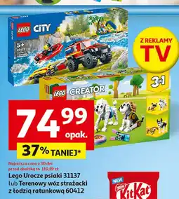 Auchan Klocki 31137 Lego Creator oferta