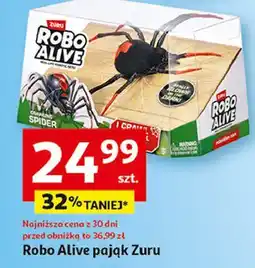 Auchan Pająk Zuru oferta