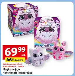 Auchan Jajko hatchimals Spin Master oferta