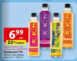 Auchan Kombucha jasmine Fyk oferta