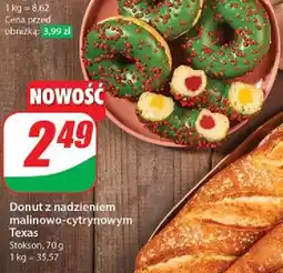 Dino Donut texas Stokson oferta