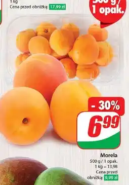 Dino Morele oferta
