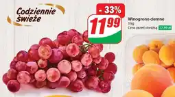 Dino Winogrona ciemne oferta