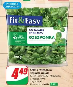 Dino Rukola Fit & Easy oferta
