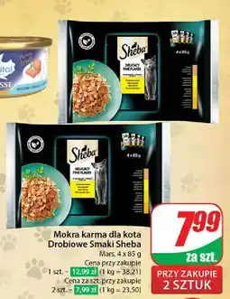 Dino Karma dla kota smaki drobiowe Sheba Delicacy In Jelly oferta