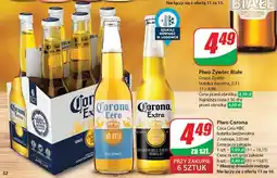 Dino Piwo Corona Cero oferta