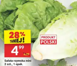 Sałata rzymska mini
