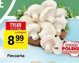 Gram Market Pieczarka oferta