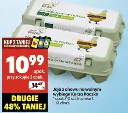 Delikatesy Centrum Jajka z chowu na wolnym wybiegu Kurza Paczka 10 szt oferta