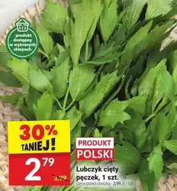 Twój Market Lubczyk cięty pęczek 1 szt. Twój Market oferta