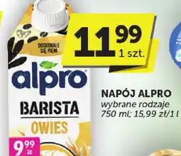 Groszek Napój Alpro oferta
