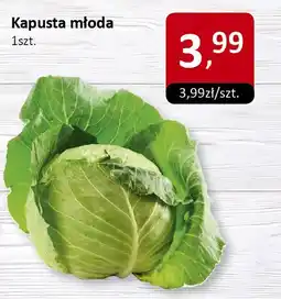 Market Point Kapusta młoda 1szt. Market Point oferta