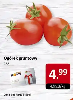 Market Point Ogórek gruntowy 1kg Market Point oferta