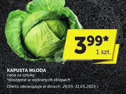 ABC Kapusta młoda ABC oferta