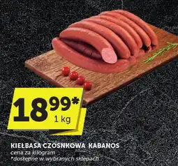 Groszek Kiełbasa czosnkowa kabanos Groszek oferta