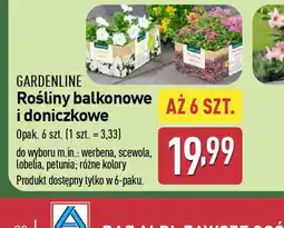 ALDI Gardenline Roliny balkonowe i doniczkowe oferta