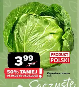 Netto Kapusta wczesna oferta