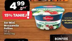 Netto Ser Mini Mozzarella Fellino oferta