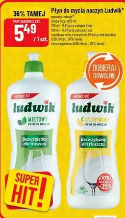 Polomarket Płyn do naczyń Ludwik oferta