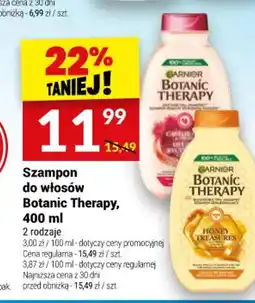 Twój Market Szampon do włosów Botanic Therapy oferta