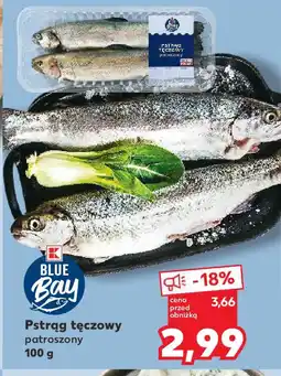 Kaufland Pstrąg tęczowy oferta