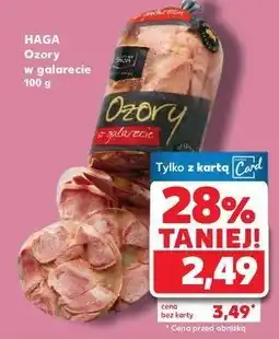 Kaufland Ozory w galarecie Haga oferta