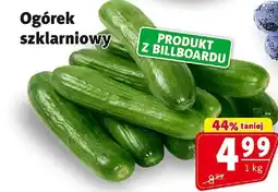Prim Market Ogórek szklarniowy 1 kg Prim Market oferta