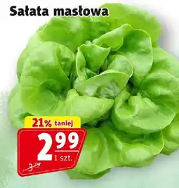 Prim Market Sałata masłowa 1 szt. Prim Market oferta