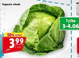 Kapusta mloda 1 szt. Prim Market