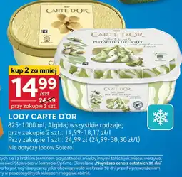 Stokrotka Lody carte d'or 825-1000ml Algida oferta