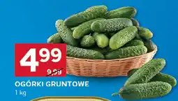 Stokrotka Ogórki gruntowe 1kg Stokrotka oferta