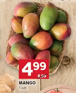 Stokrotka Mango 1 szt. Stokrotka oferta