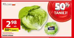 Auchan Sałata lodowa polska kl.i oferta