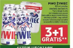 Stokrotka Piwo Zywiec oferta