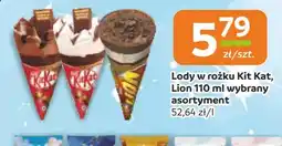 Gama Lody Lion oferta