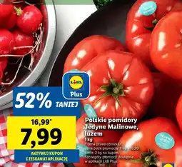 Lidl Pomidory Plus-Plus oferta