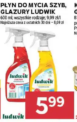 Stokrotka Płyn do mycia szyb, glazury Ludwik oferta