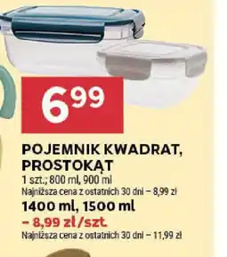 Stokrotka Pojemnik kwadrat, prostokąt oferta