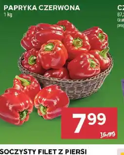 Stokrotka Papryka czerwona oferta