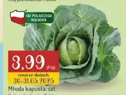 Avita Młoda kapusta oferta