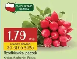 Avita Rzodkiewka oferta