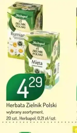 Avita Herbata Zielnik Polski oferta