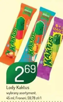 Avita Lody Kaktus oferta