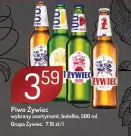 Avita Piwo Zywiec oferta