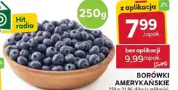 Stokrotka Market Borówki amerykańskie oferta