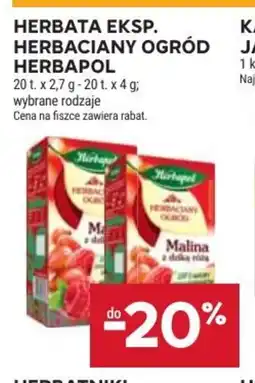Stokrotka Market Herbata ekspresowa Herbapol Herbaciany Ogród oferta