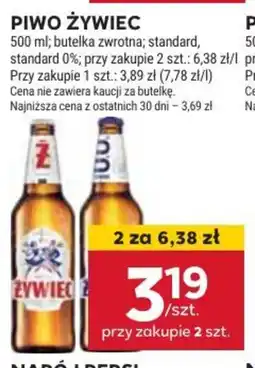 Stokrotka Market Piwo Zywiec oferta