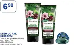 Stokrotka Market Krem do rąk Herbapol oferta