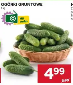 Stokrotka Market Ogórki gruntowe oferta