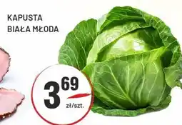 Sedal Kapusta biała młoda oferta